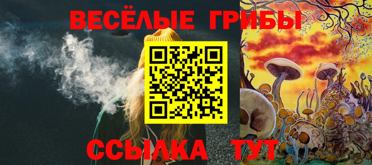 наркошоп  Псилоцибиновые грибы GOLDEN TEACHER  Вход с VPN  Новосибирск 